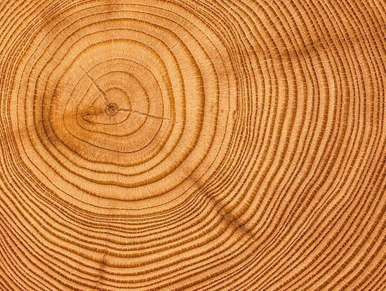 suelos de madera