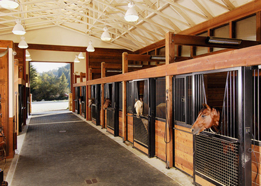 Bamboo Horse Stable Plank