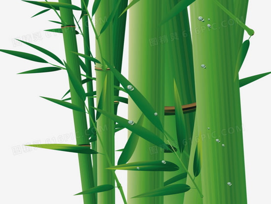 suelo de bambú